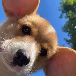 Meet your Posher, Andre